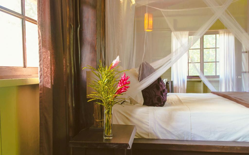 Island Plantation (Adults Only) 호텔 La Gruta 객실 사진