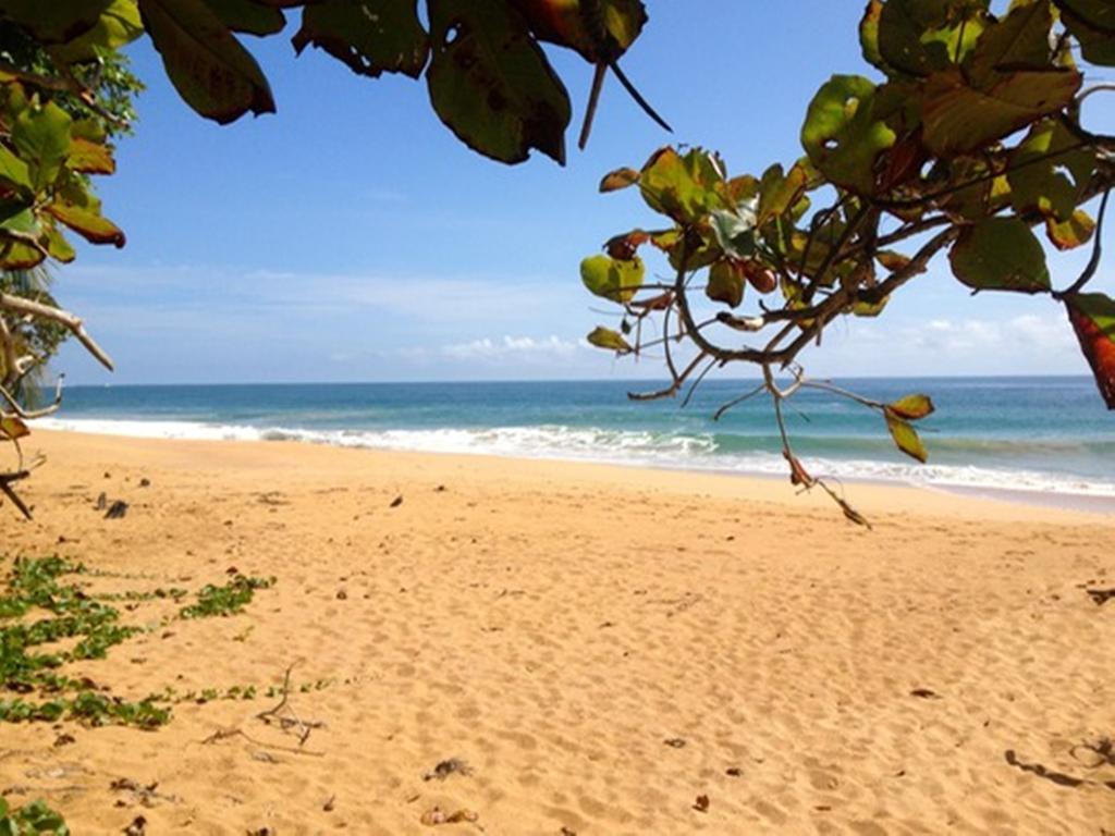 Island Plantation (Adults Only) 호텔 La Gruta 외부 사진